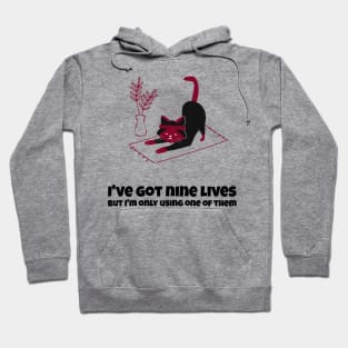 IVE GOT NINE LIVES, BUT IM ONLY USING ONE OF THEM Hoodie
